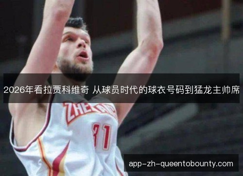 2026年看拉贾科维奇 从球员时代的球衣号码到猛龙主帅席